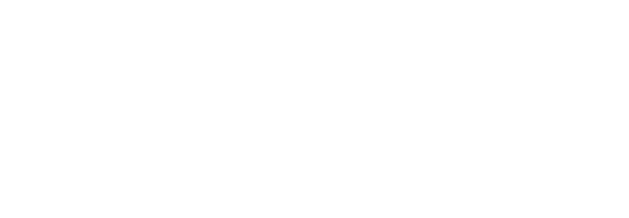 dunedin-electrical-services-Logo Small